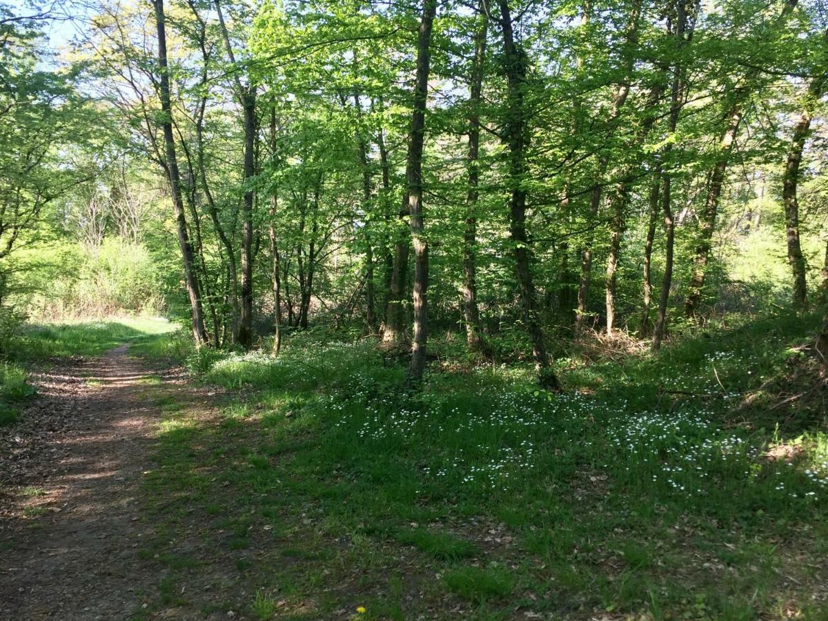 Camping Du Canal Kembs Buitenkant foto