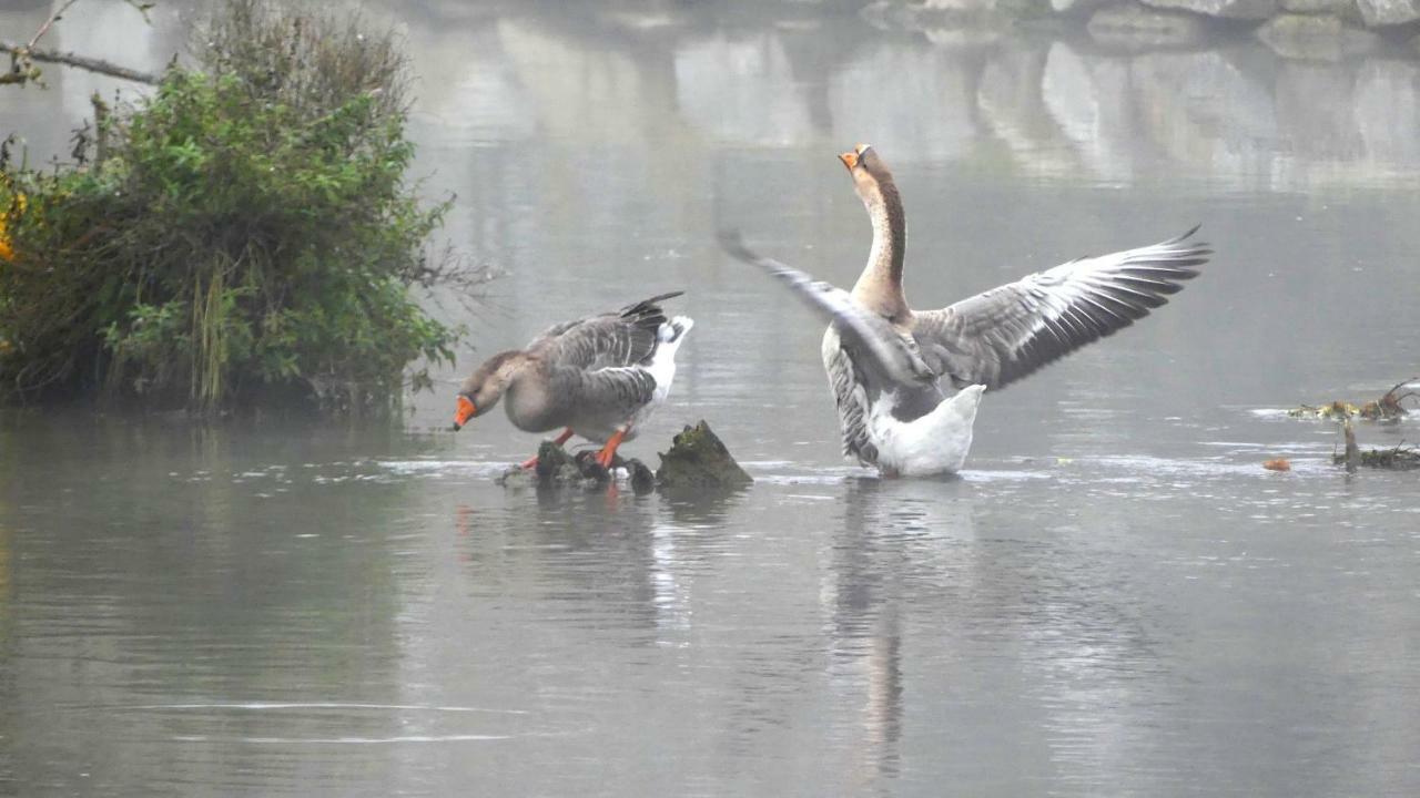 Camping Du Canal Kembs Buitenkant foto